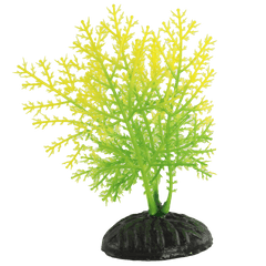Fish Gear Yellow & Green Hygrophila Plastic Betta Plant (4")
