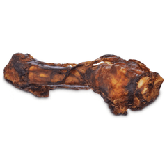Good Dog Foreshank Bone