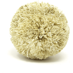 Moss Hollow Play Pom