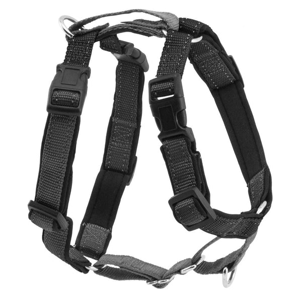 PetSafe 3 in 1 Harness & Car Restraint