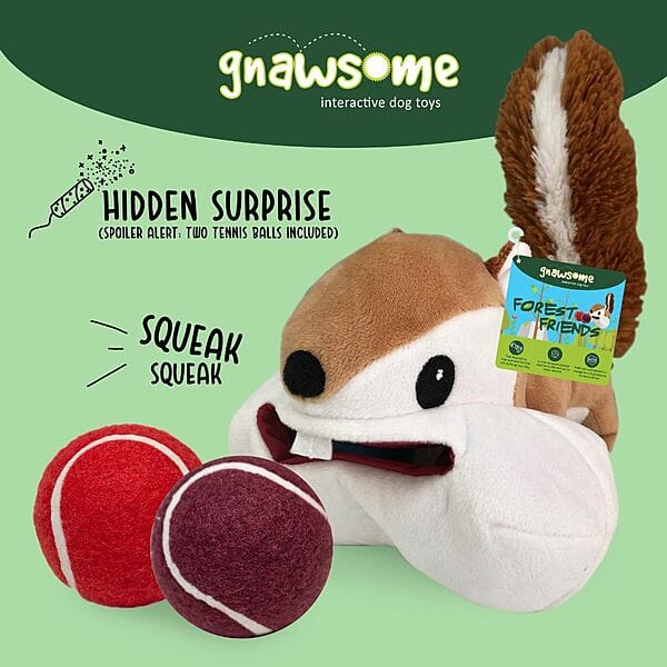 Gnawsome Forest Friends; Large Squirrel