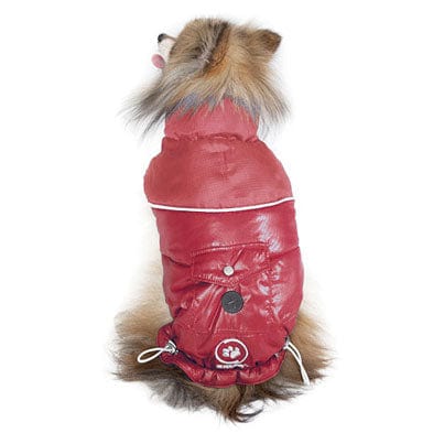 Silver Paw Stylist Winter Jacket